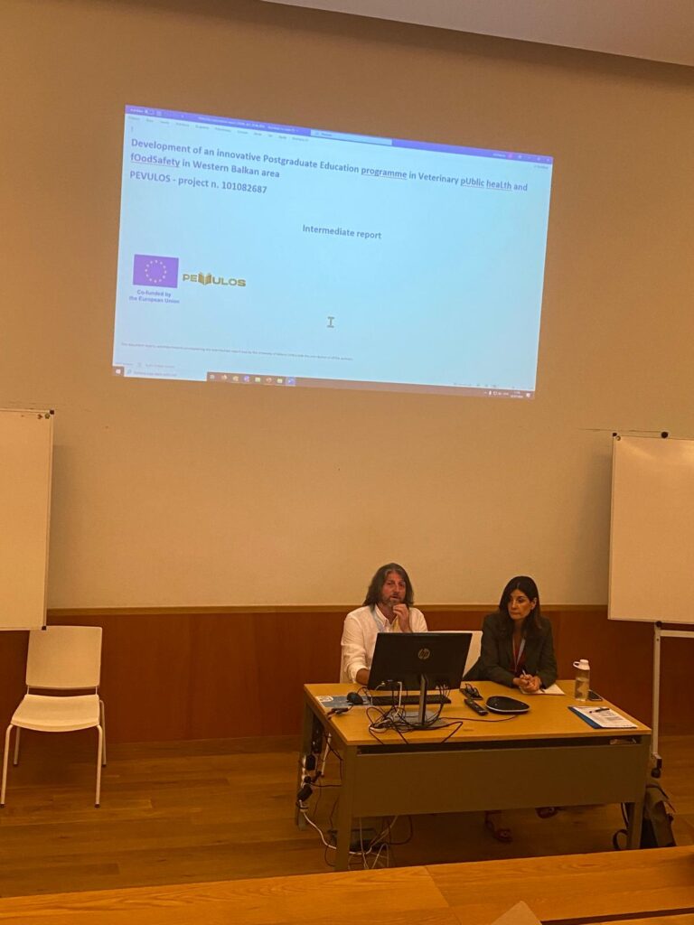 474697270_122203390664236031_3173522552883189476_n